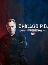 Chicago PD S02E14 FRENCH HDTV