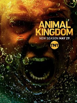 Animal Kingdom S03E08 FRENCH HDTV