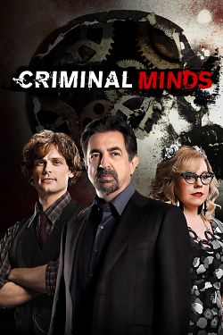 Esprits criminels S15E08 VOSTFR HDTV