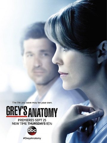 Grey's Anatomy S11E06 FRENCH HDTV