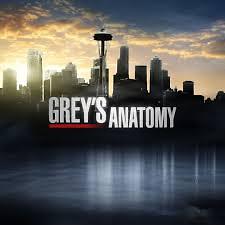 Grey's Anatomy S11E13 VOSTFR HDTV