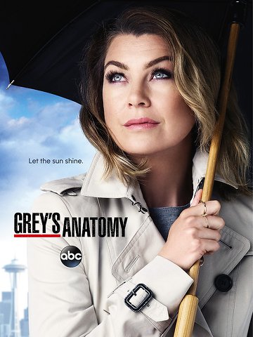 Grey's Anatomy S12E07 FRENCH HDTV