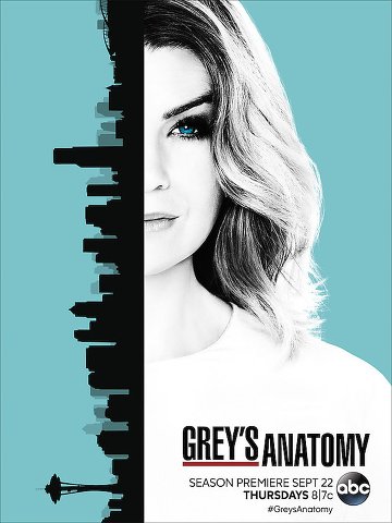 Grey's Anatomy S13E05 VOSTFR HDTV