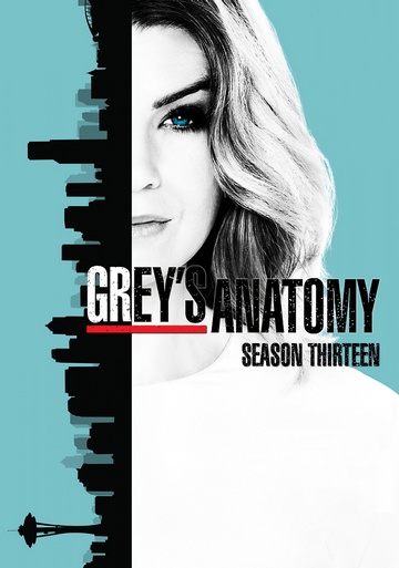 Grey's Anatomy S13E12 VOSTFR HDTV