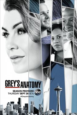 Grey's Anatomy S15E14 FRENCH HDTV