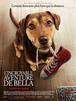 L'Incroyable aventure de Bella FRENCH WEBRIP 720p 2019