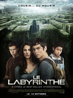 Le Labyrinthe TRUEFRENCH DVDRIP 2014